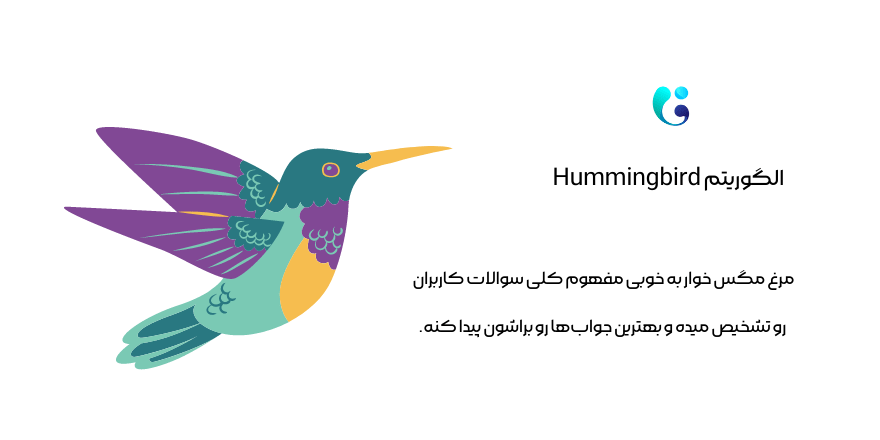 الگوریتم Hummingbird مرغ مگس خوار گوگل
