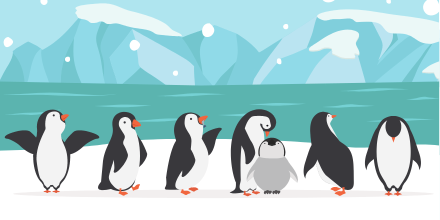 معرفی الگوریتم پنگوئن Penguin