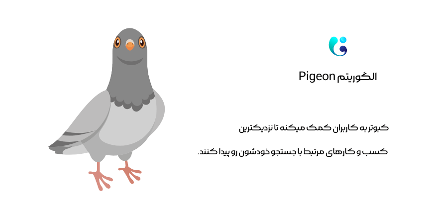 الگوریتم Pigeon کبوتر گوگل
